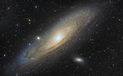 just&ndash;space:  The Andromeda Galaxy   Photographed by Lus Campos js