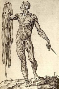 the-sublime-and-bizarre:  Juan Valverde de Amusco, Anatomie del Corpo Humano, 1559.