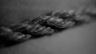 goodmorningm0therfucker:  “Right Wing Of The Garden Triptych” Cradle Of Filth Video Edit / Gif: mine   