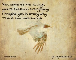 youreyesblazeout:  ~Pic Peregrine, burn