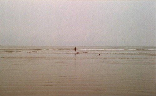 shihlun:  Claire Denis- Chocolat1988