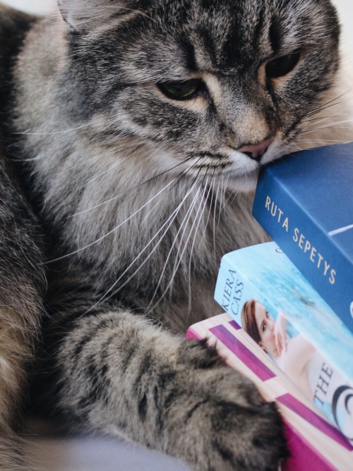 thefaithfulreader:Sophie’s so in love with books