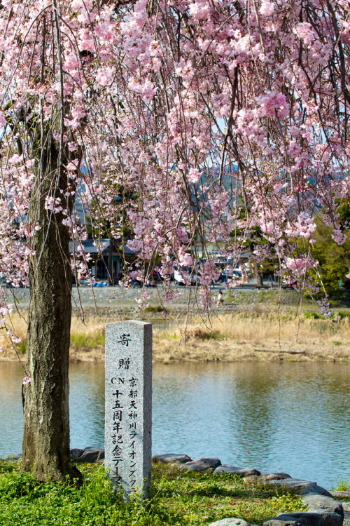 japan-overload: Katsura river by Stefu-san