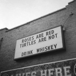 whiskey-gets-her-frisky:  Wahoo!!!!! rain-corn-whiskey, It’s truth lol  It is! Lol