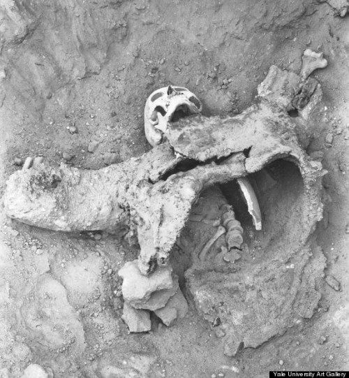 sixpenceee:  Ancient Chemical Warfare During a Roman battle, Persian soldiers dug tunnels under city walls to undermine Roman soldiers. But the Romans retaliated by digging their own tunnels in an attempt to intercept the Persians.  The Persians heard