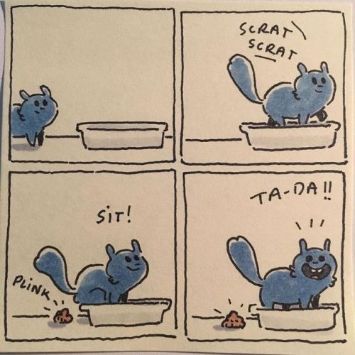 catsbeaversandducks:“I try to capture all the little fun moments that happen when living with cats. 