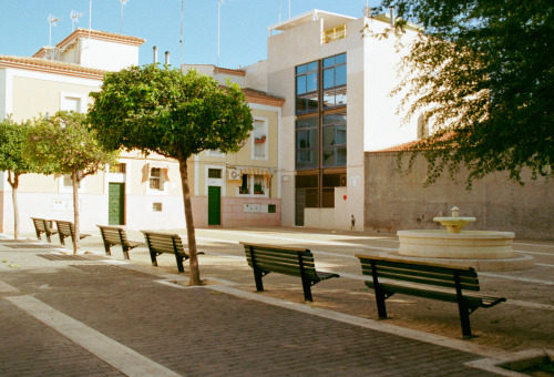 a ñ o r a n z a [elche, noviembre 2019]kodak gold 200nikon f90nikkor 28-85 f/3.5-4.5 af https://www.