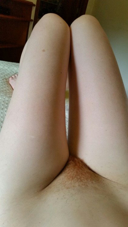 ginger pubes