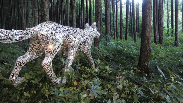 itscolossal:  A Reflective Wolf Covered in Mirror Shards by Tomoko Konoike 