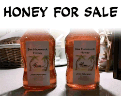 diavolofucker:  Hello! I’m Conor! I sell honey! You might remember me from my other sales post or maybe the one before it. I’m still at it! My mom and I have been running the family apiary for approaching our sixth year now. We had an unexpected