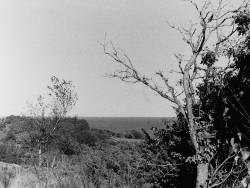 maximalanders:  Bornholm, Denmarkcamera: Voigtländer Vito IIhttp://maximalanders.de/FlickrFacebook