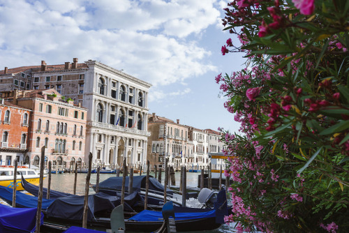 Venice, Italy. June, 2018.