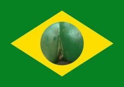 brazilshit:  Welcome to Brazilian Carnival