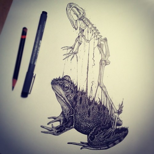 psycho-delic-cunt:  awesome-picz:    Animals Leave Their Skeletons Behind In Stunning Dark Drawings By Paul Jackson  was not expecting that turtle one