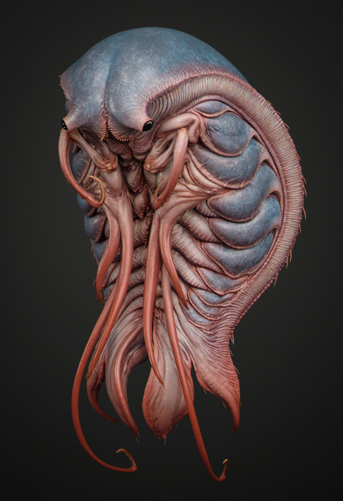 fhtagn-and-tentacles:  ISOPOD CREATURE by