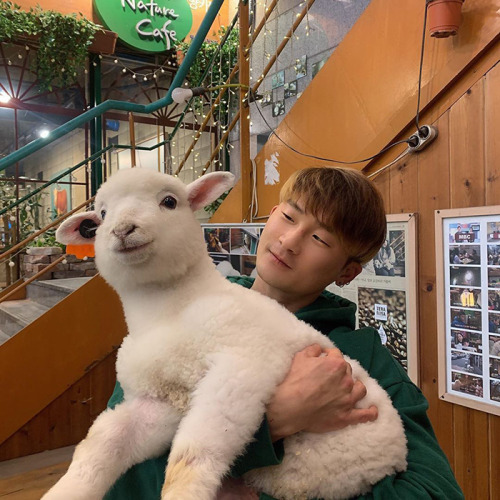 cwnerd12:awesome-picz:This Sheep Cafe In Korea Shares Viral Photos Of A Sheep Getting Washedoh my go