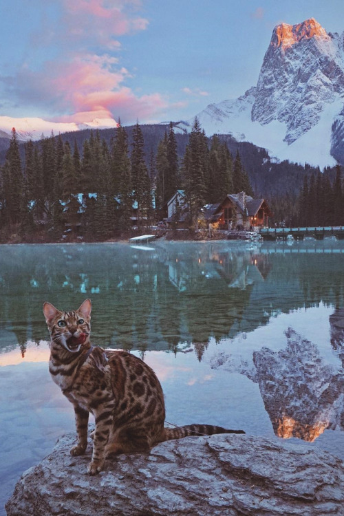 lsleofskye: Emerald Lake | sukiicat