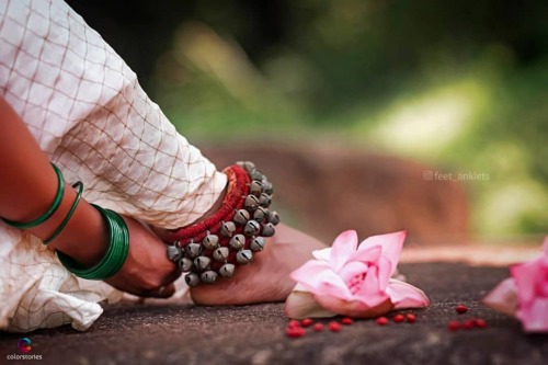 Good Morning . . Click @aneesh_perunguzhi . . #photooftheday #photography #photographer #indianpho