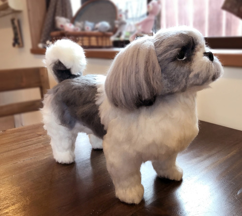 He is a Shih Tzu dog and his name is Toto.Last year, I passed away due to senility.I made Toto at th