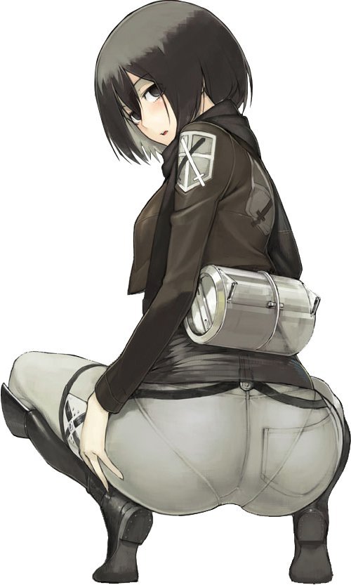 besthentaipictures:  Girls I love set for 300 followers.  First up is Mikasa Ackerman