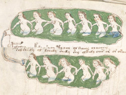 waterspirit:  The Voynich Manuscript is