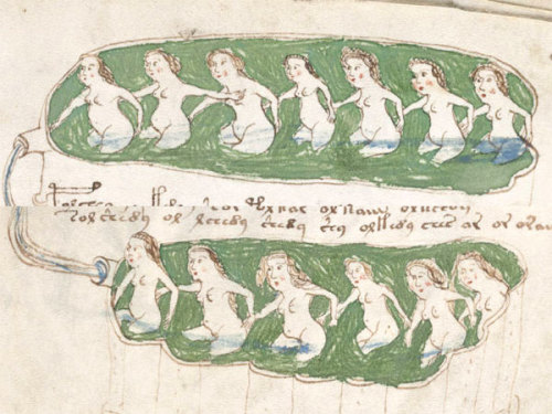 waterspirit:  The Voynich Manuscript is a detailed 240-page book written in a language or script that is completely unknown. Its pages are also filled with colorful drawings of strange diagrams, odd events and plants that do not seem to match any known