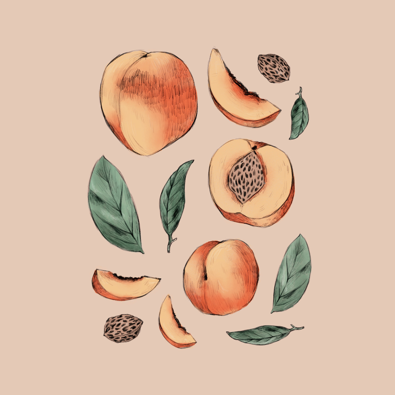 emmamartschinke:Peachy vibes for Summer!