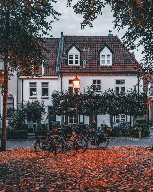 autumncozy:
“By een_wasbeer
”