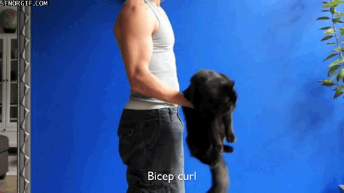 fitnessgifs4u:  9 Exercises You Can Do With Your Cat…(other five HERE on Cheezburger.com)
