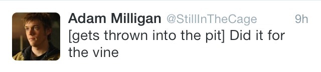 hayniac-princess:  creepycrowwleys:  I have done it. I have found the best twitter