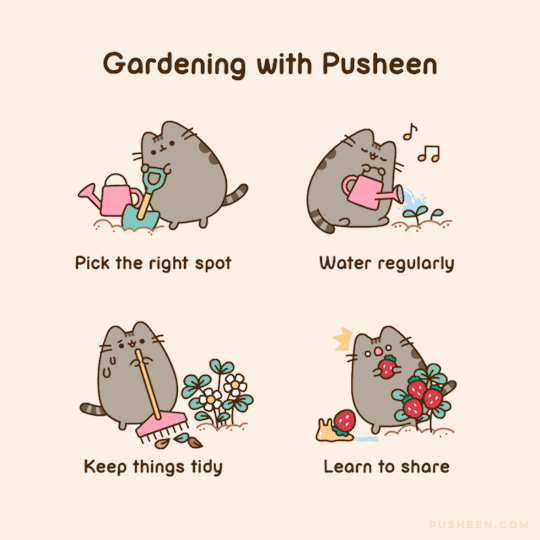pusheen: