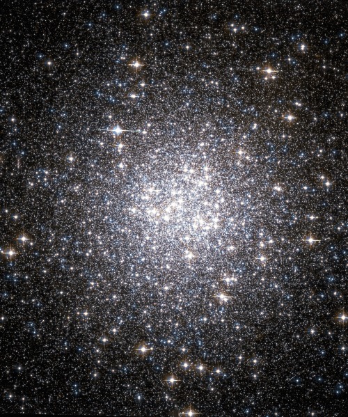 XXX astronomicalwonders:  Globular Star Cluster photo