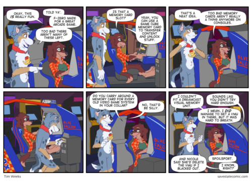 savestatecomic:Comic - Memory Cards xD