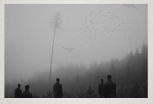 pikeys: Martin Vlach