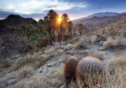 Santa Rosa-San Jacinto Mountains National Monument by Bob Wick, BLM