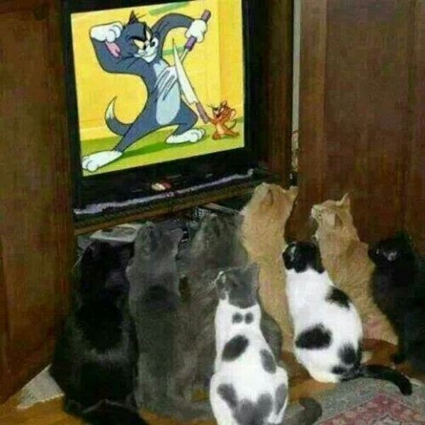 Rapt audience