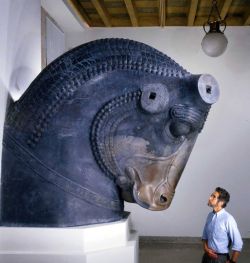 ancientanimalart:  virtual-artifacts: Bull sculpture, Achaemenid period ca. 550 - 330 BCE I believe this is Matthew W. Stolper, a professor at University of Chicago, with a bull from their (unfortunately named) Oriental Institute.  