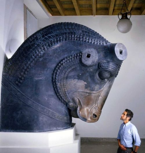 ancientanimalart:virtual-artifacts:Bull sculpture, Achaemenid period ca. 550 - 330 BCEI believe this