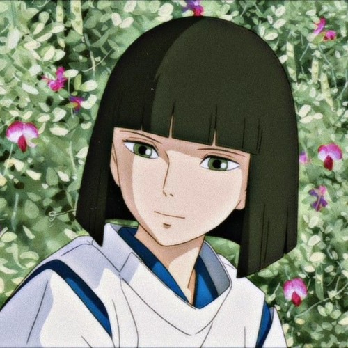 Hmmmm I Really Should've Known I Was Trans When I Was More Focused On Haku Than Chiro