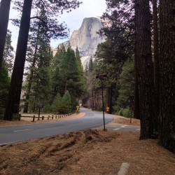 #Yosemite #HalfDome