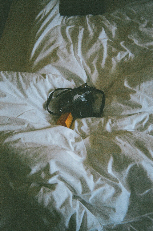 be-a-serial-killer:  dvnity:  ▲ vintage  Vintage Paradise 