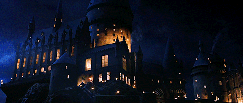 victoriaspedretti: I remember every wand I’ve ever sold, Mr. Potter. It so happens that the phoenix whose tailfeather resides in your wand gave another feather… just one other. It is curious that you should be destined for this wand when its brother
