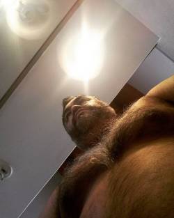 moshemx:  Chichis pa la banda!  #bear #gaybear