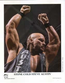 fishbulbsuplex:  Stone Cold Steve Austin  Hell yeah