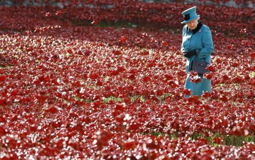 micdotcom:  Breathtaking photos show how Britain does Veterans Day   Veterans Day isn’t just an American holiday. While Americans remember veterans of all wars, the federal holiday coincides with Armistice Day or Remembrance Day, where countries around