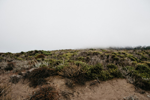 christophermfowler - Point Lobos, CA | October 2016