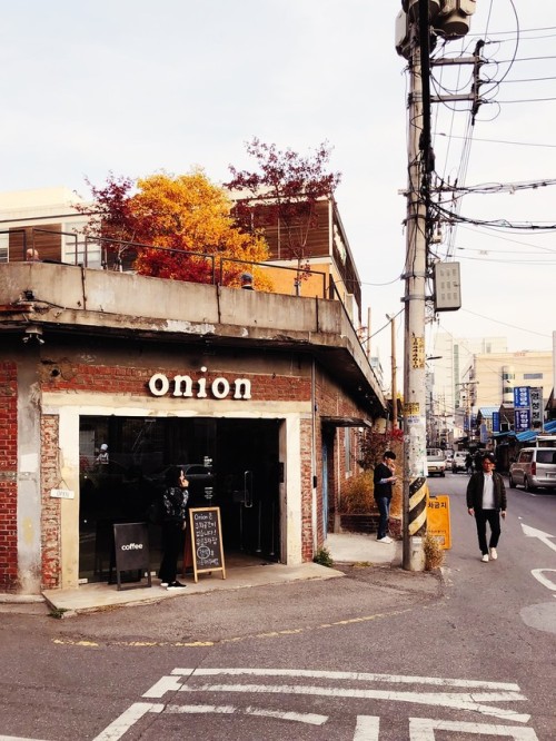 Autumn in Seongsu-dong: Daelim Changgo and Onion.