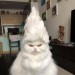 catasters: