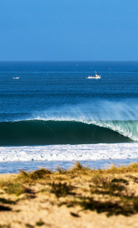 surf4living:Portugal.Ph: Magic Sea WeedX