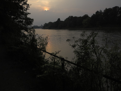 River Thames, Mortlake, London; 24.7.2021
